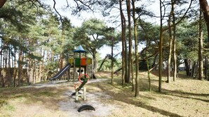 Une aire de jeux avec un toboggan et des structures d’escalade, le tout entouré d’arbres.