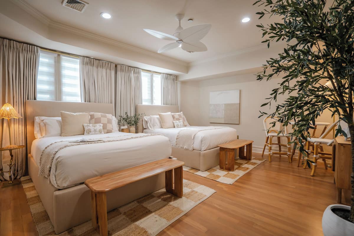 A modern bedroom with two beds, a ceiling fan, and a large potted plant.