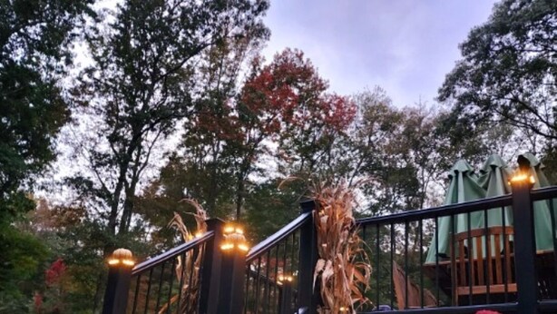 Un escalier avec une rampe en métal mène à une terrasse, qui est entourée d’une végétation luxuriante et de plantes en fleurs.