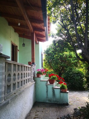 Une véranda couverte avec un plafond en bois, une balustrade en béton et des plantes en pot ornées de fleurs rouges.