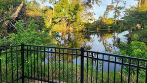 Un espace extérieur paisible, agrémenté d’un plan d’eau, et entouré d’une végétation luxuriante et de grands arbres.