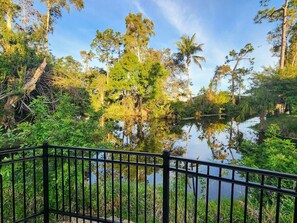 Property grounds - Secluded Backyard w/ Pool & HotTub | 3&2 (Fort Myers)