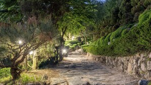 Un sendero de piedra bordeado de árboles y muros cubiertos de musgo, que conduce a una construcción distante.