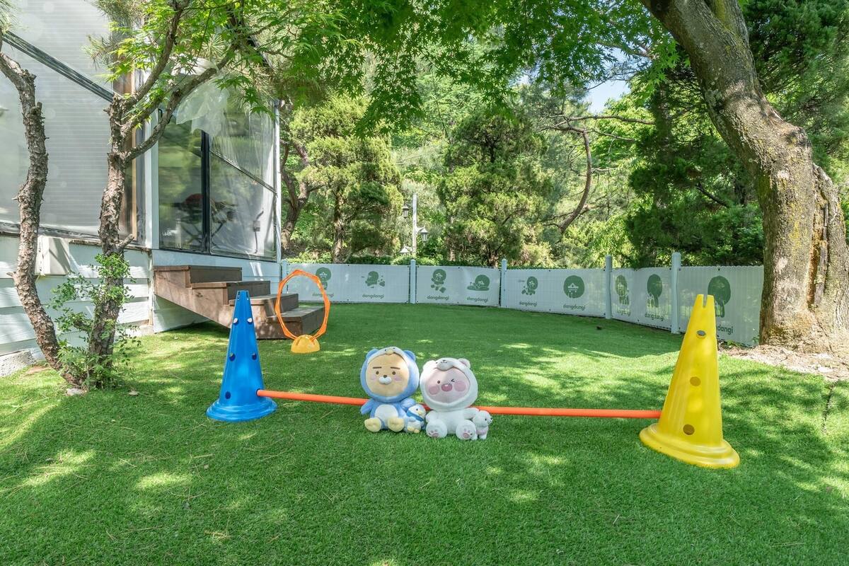 Un espacio al aire libre con césped, un cono azul, un cono amarillo y dos peluches en el centro.