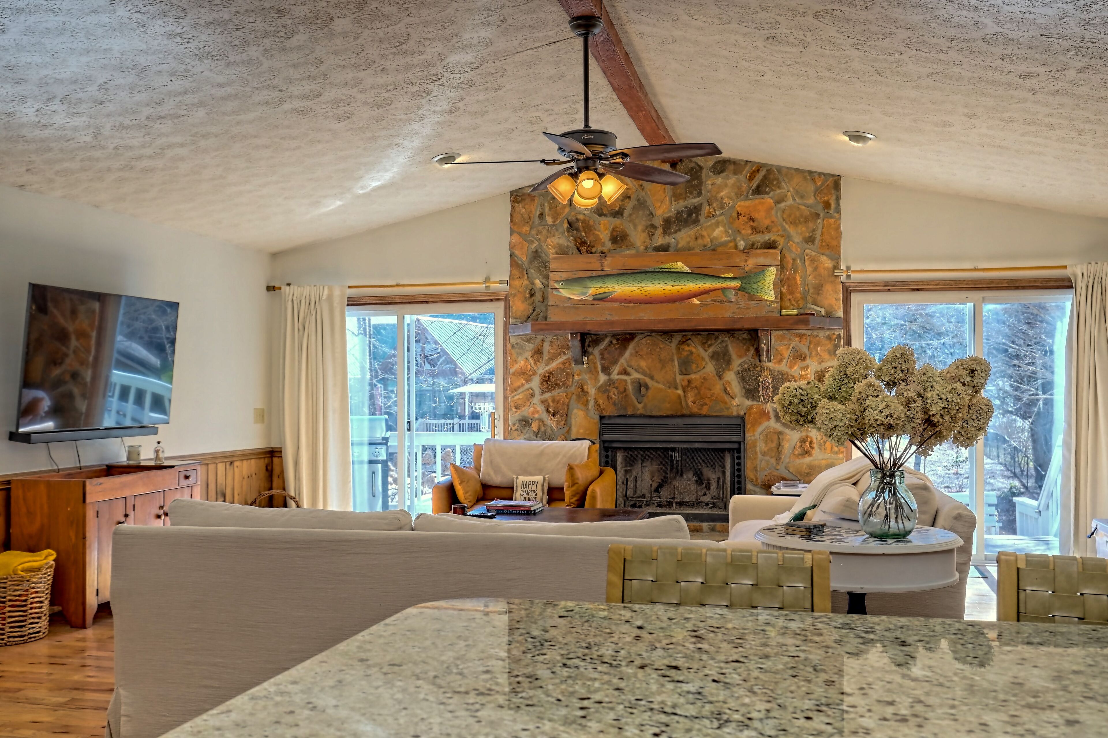 Smart TV, fireplace, video games, books