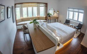 Free minibar, in-room safe, desk, laptop workspace - Eythrope Boutique Villa (George Town)