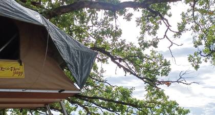 camping in rooftent Landrover Defender