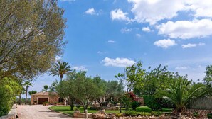 A gravel driveway leading to a rustic building with a stone facade, surrounded by lush greenery and palm trees. - Villa Sanchez (Campos)