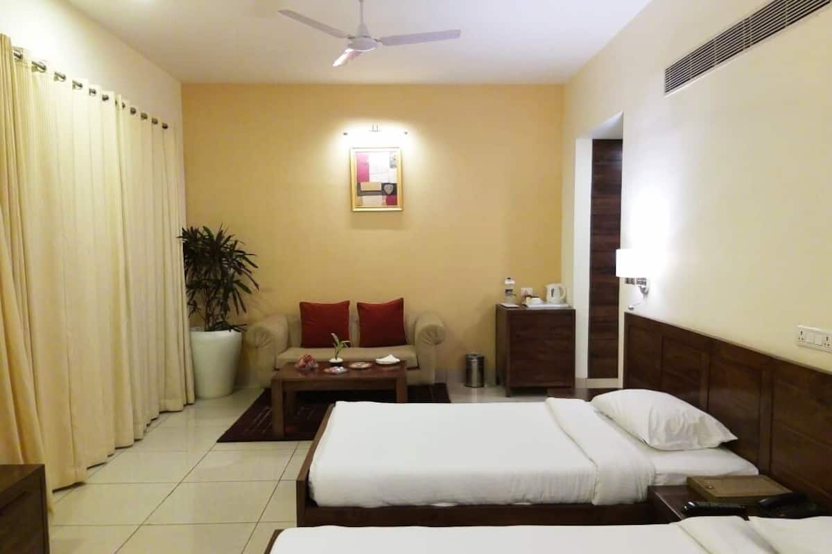 A hotel room with two beds, a sofa, a small table, a plant, and a ceiling fan.