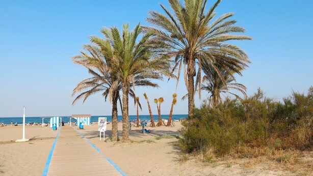 Un sentier bordé de palmiers qui longe la plage et mène aux parasols, offrant une vue dégagée sur la mer.