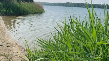 Playa en los alrededores