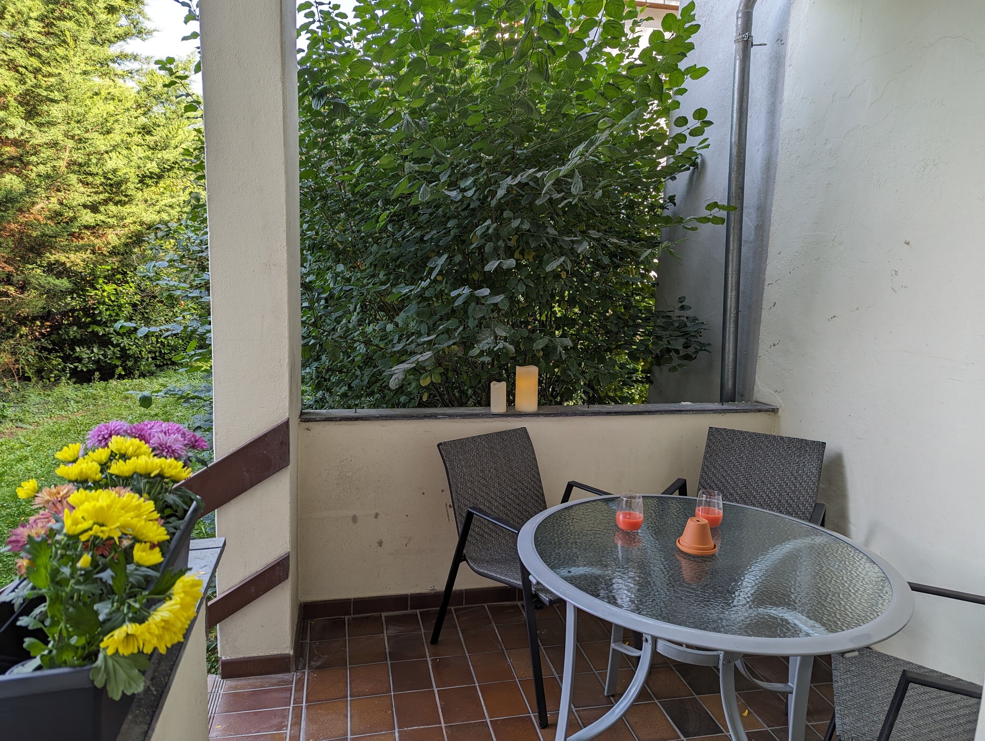 Eine Terrasse mit rundem Tisch und Stühlen, ein Blumentopf mit gelben Blüten und eine große, blättrige Pflanze im Hintergrund.