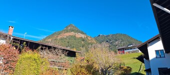 Appartement 'Ferienwohnung Hörnleblick' met Balkon en WiFi