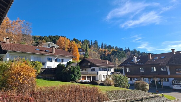 A residential area with houses, a clear sky, and autumn foliage.