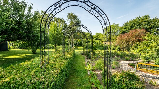 A garden with a metal archway, a pathway, and various plants. - Apartment 'Ferienwohnung 2 Schulze' with Private Terrace, Shared Garden and Wi-Fi (Neustrelitz)