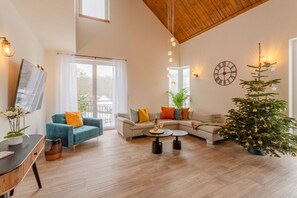 智能電視、壁爐、書籍