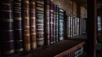 Una estantería con libros encuadernados en cuero, algunos con detalles dorados.