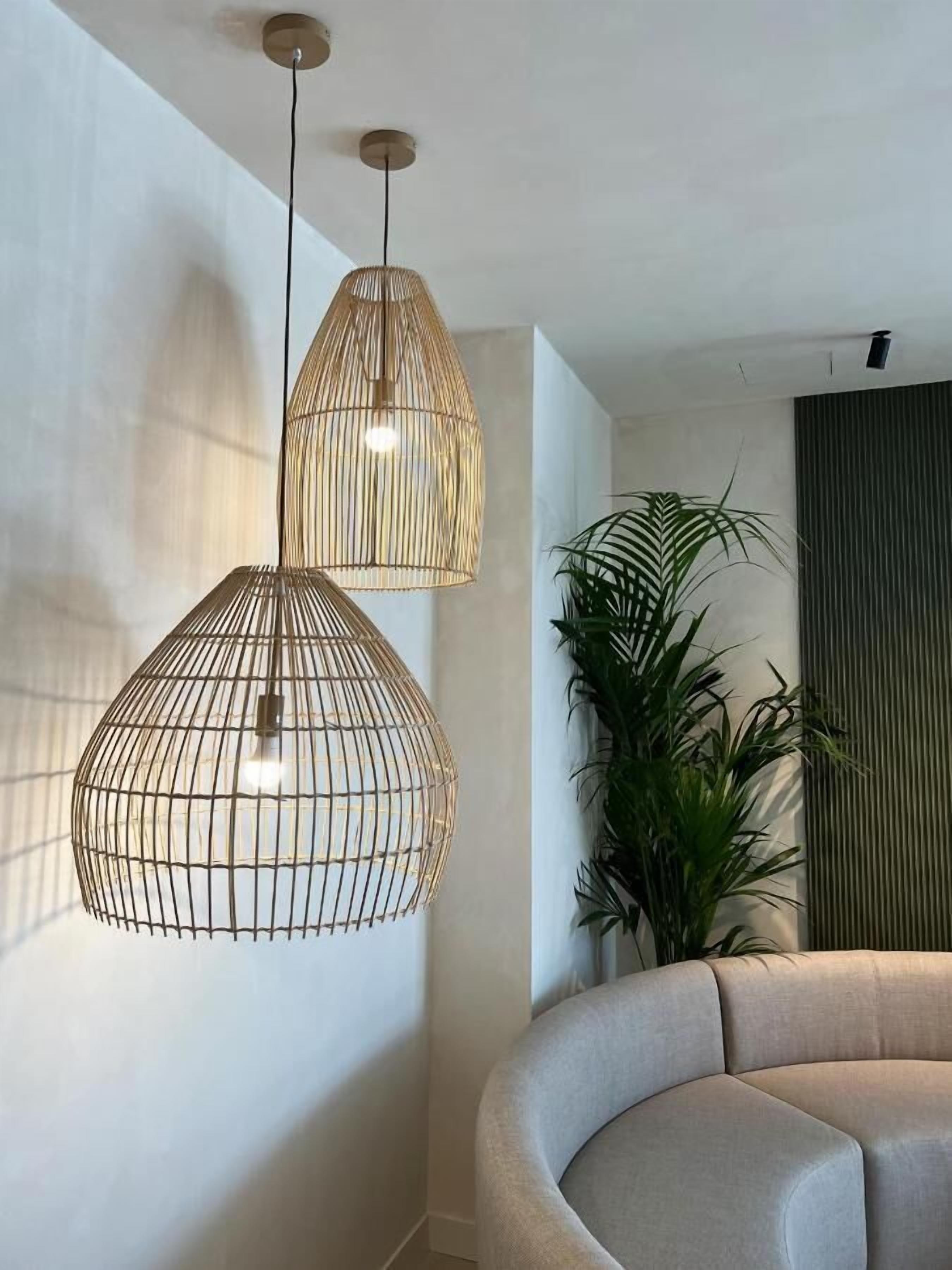 A modern interior with two hanging pendant lights and a large potted plant.