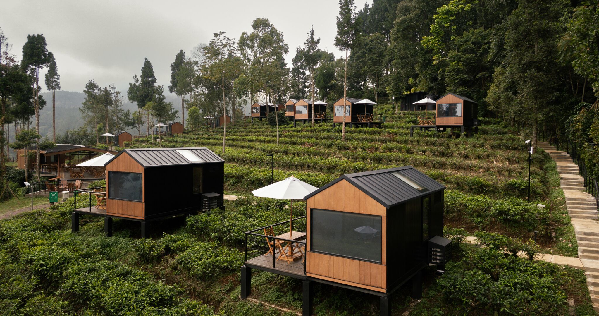 Una serie de cabañas pequeñas y modernas con fachada de madera y amplios ventanales, ubicadas en laderas escalonadas con abundante vegetación y árboles al fondo.