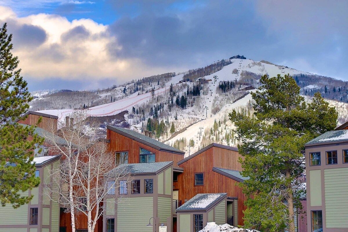 A cluster of wooden cabins with a mountain backdrop.