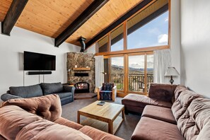 Smart TV, fireplace, DVD player, books