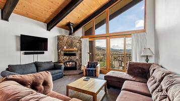 Smart TV, fireplace, books