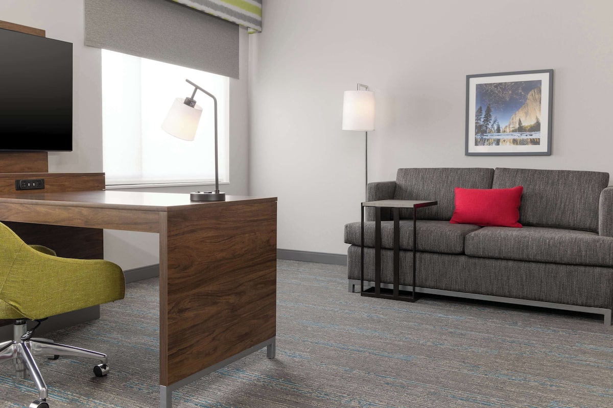 Studio, 1 King Bed, Accessible (Mobility & Hearing, Roll-In Shower) | Living area