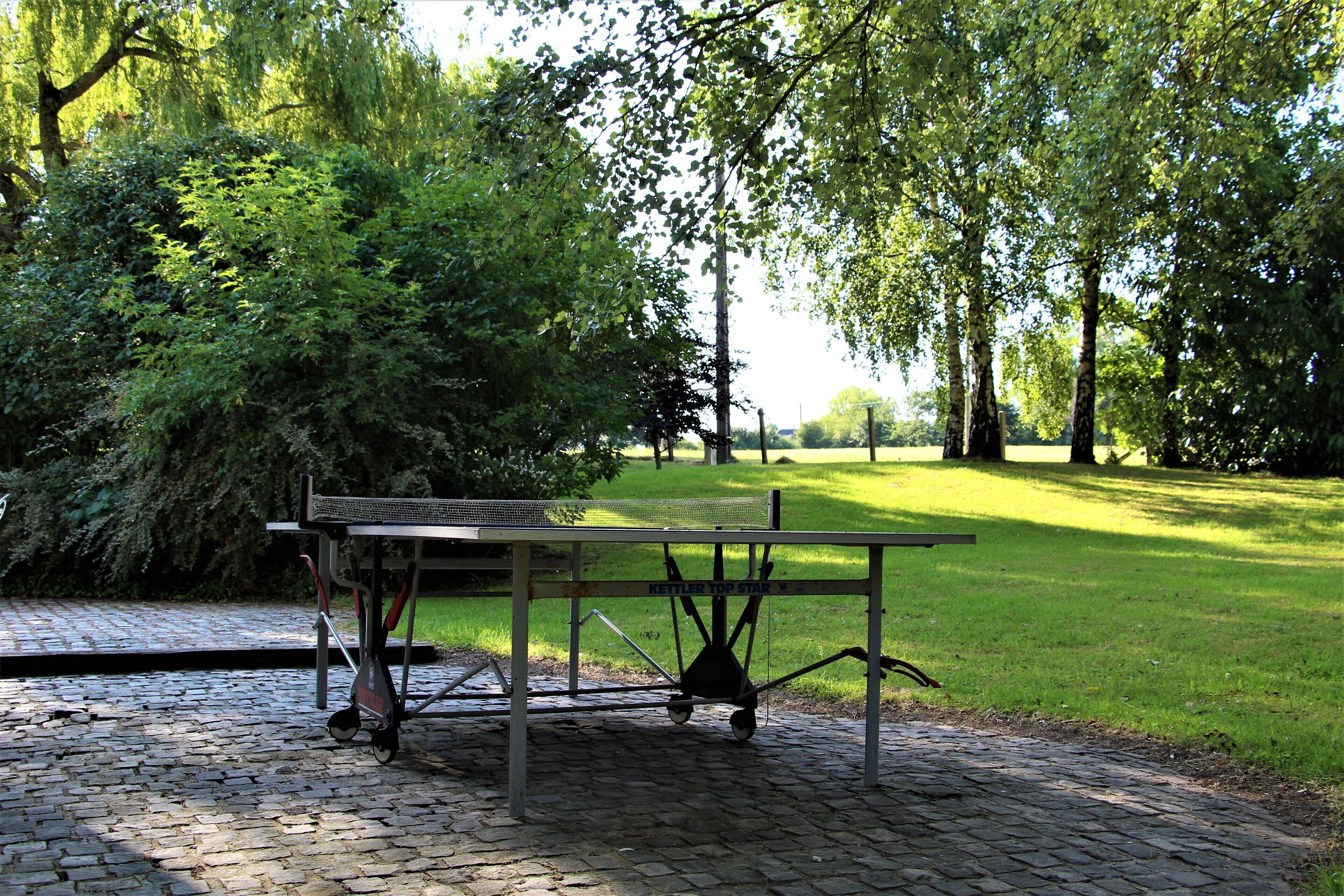 A table tennis table in a park with a paved area and surrounding greenery.