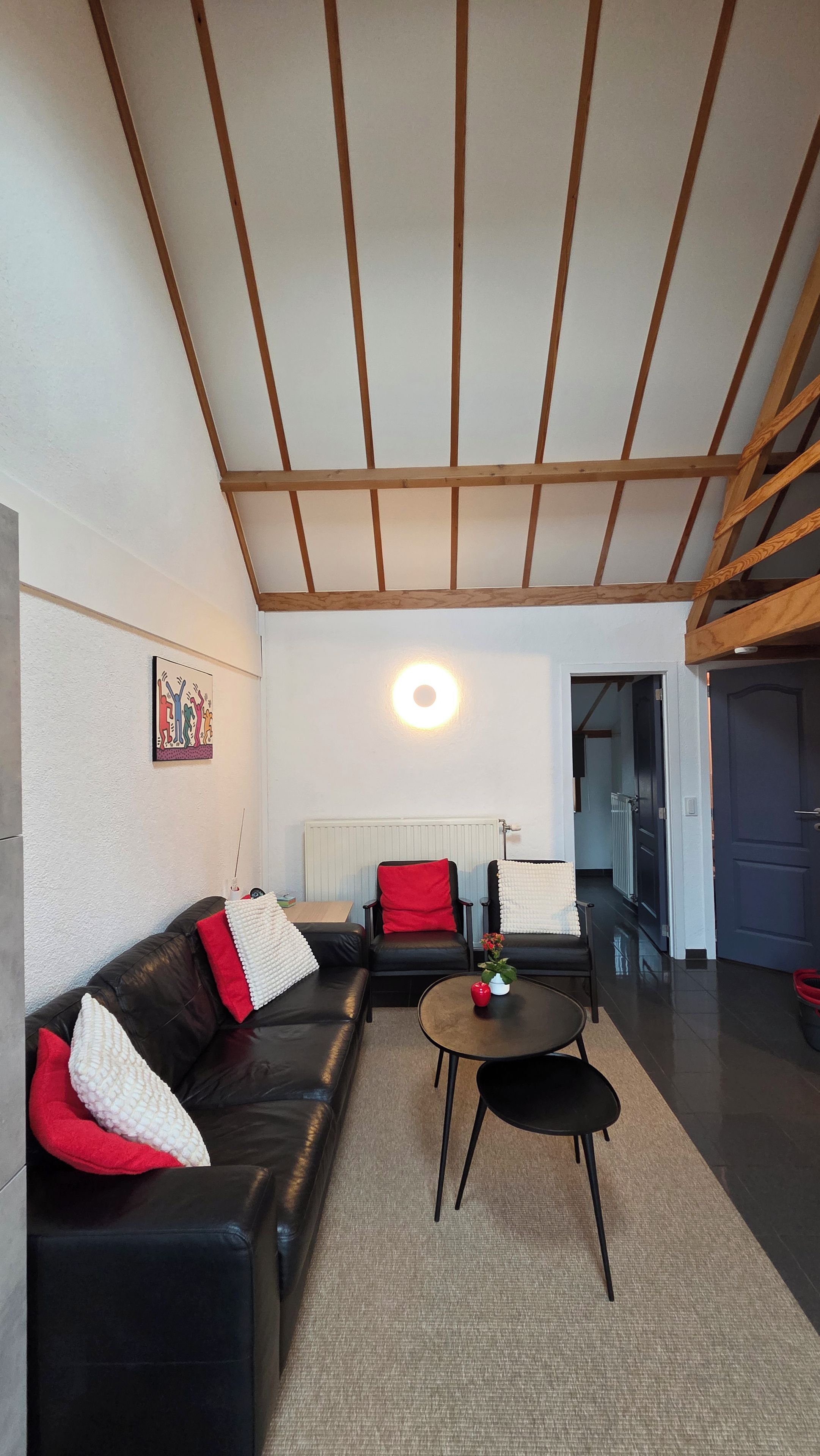 A modern living room with a black leather sofa, a round coffee table, and a red and white pillow.