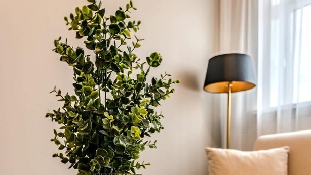 Un salón moderno con una mesa de mármol, un jarrón alto con follaje verde y una lámpara de pie.
