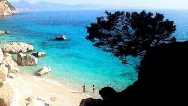 A coastal beach scene with clear turquoise waters, rocky shoreline, and a pine tree. - Arianna House (Borgo Rocce Rosse Arbatax) (Arbatax)