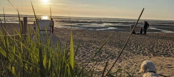 Gut Ausgestattetes und Modernes Ferienhaus mit Eingezäuntem Garten, Strandnah