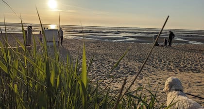 Gut Ausgestattetes und Modernes Ferienhaus mit Eingezäuntem Garten, Strandnah