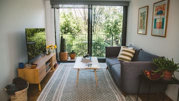 Smart TV, DVD player