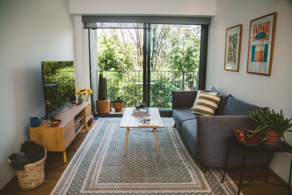 スマートテレビ、DVD プレーヤー