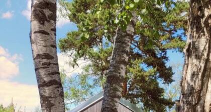 Sparkling newly built house close to city & nature