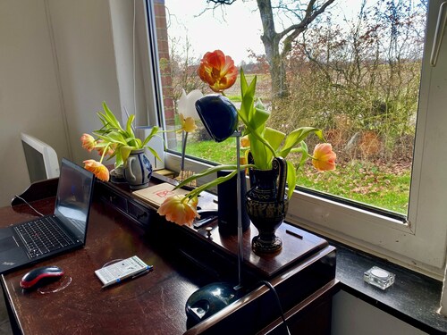 Familienurlaub in Ostfriesland auf dem Land - in Aller Ruhe Genießen