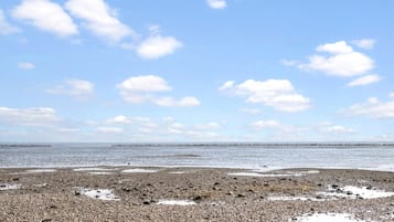Una spiaggia nelle vicinanze, pesca