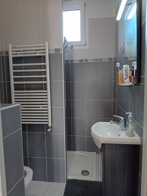 Secadora de cabello, toallas, jabón, papel de baño 