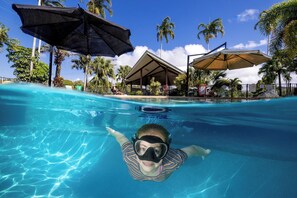 A swimming pool with clear blue water, surrounded by palm trees and umbrellas. - BIG4 Lucinda Wanderers Holiday Park (Lucinda)
