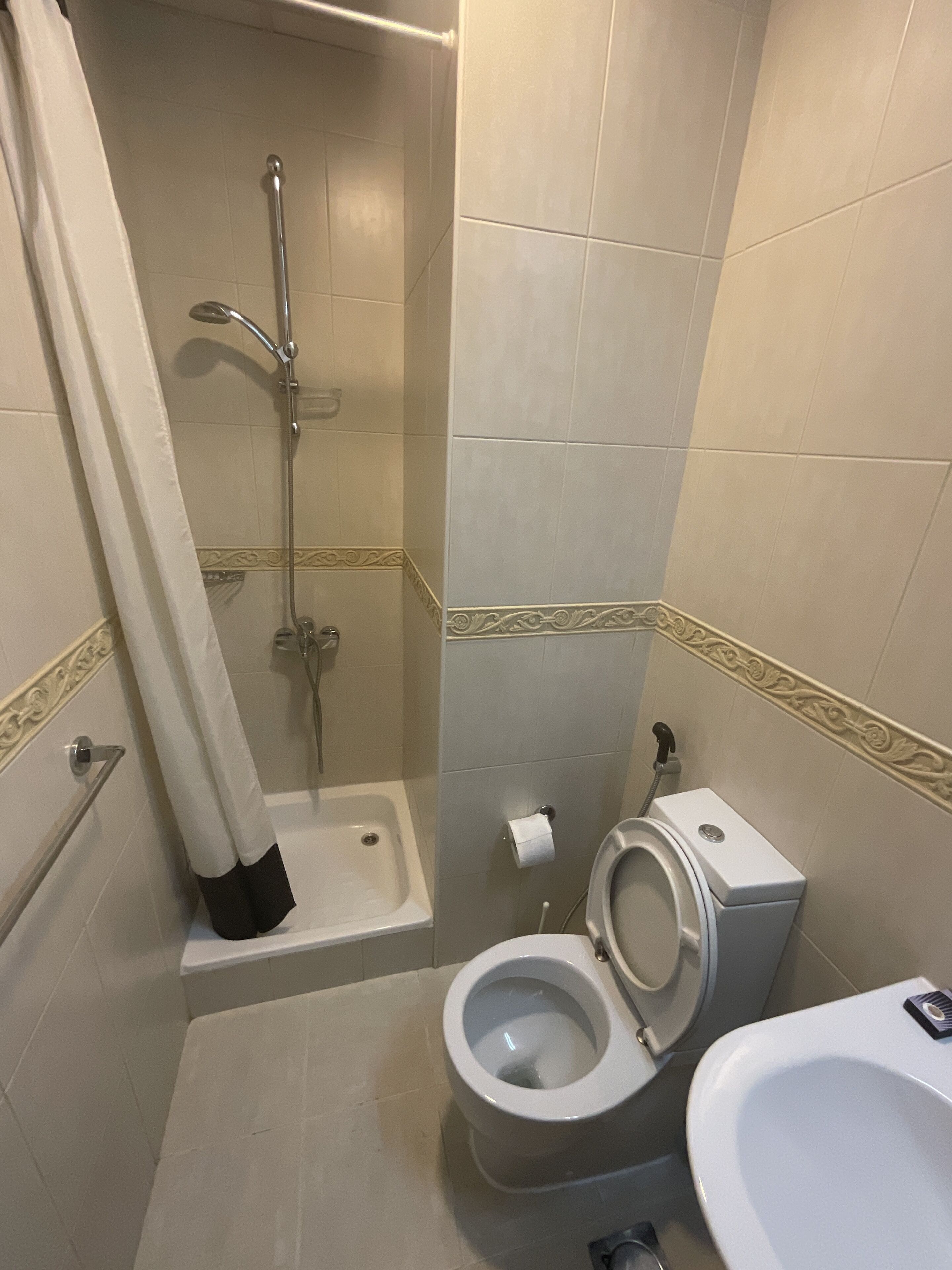 A bathroom with a shower, toilet, and sink.