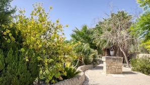 Un sendero de piedra que atraviesa un jardín con diversos árboles y arbustos.