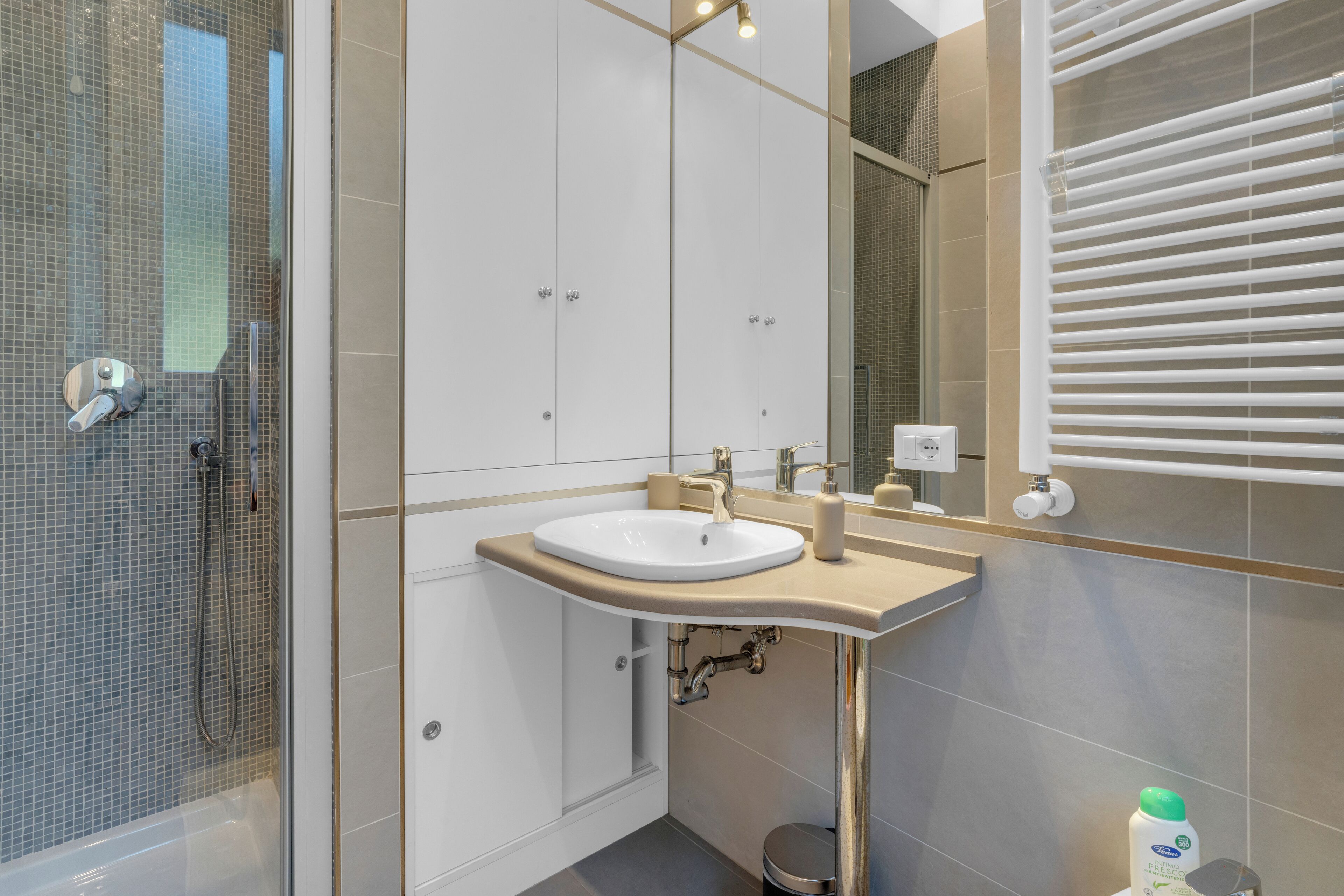 Shower, hair dryer, bidet, towels