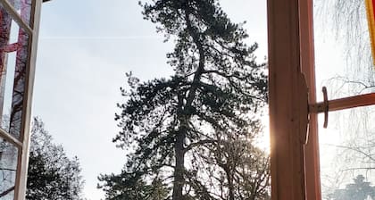 Maison Dans Parc Privé