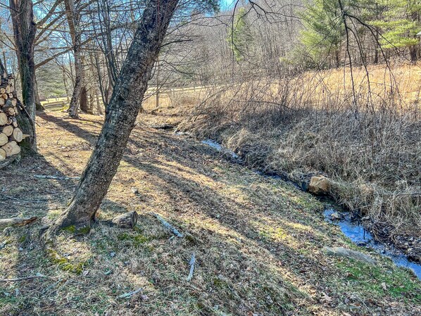 Une zone boisée avec un ruisseau, de l’herbe sèche et une pile de troncs d’arbres.