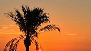 Ein Sonnenuntergang über ruhiger See, im Vordergrund eine Silhouette einer Palme und einige Personen.