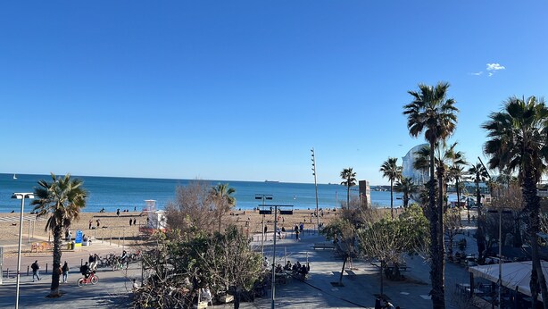Eine Strandpromenade mit Palmen, Bänken und freiem Blick auf das Meer.