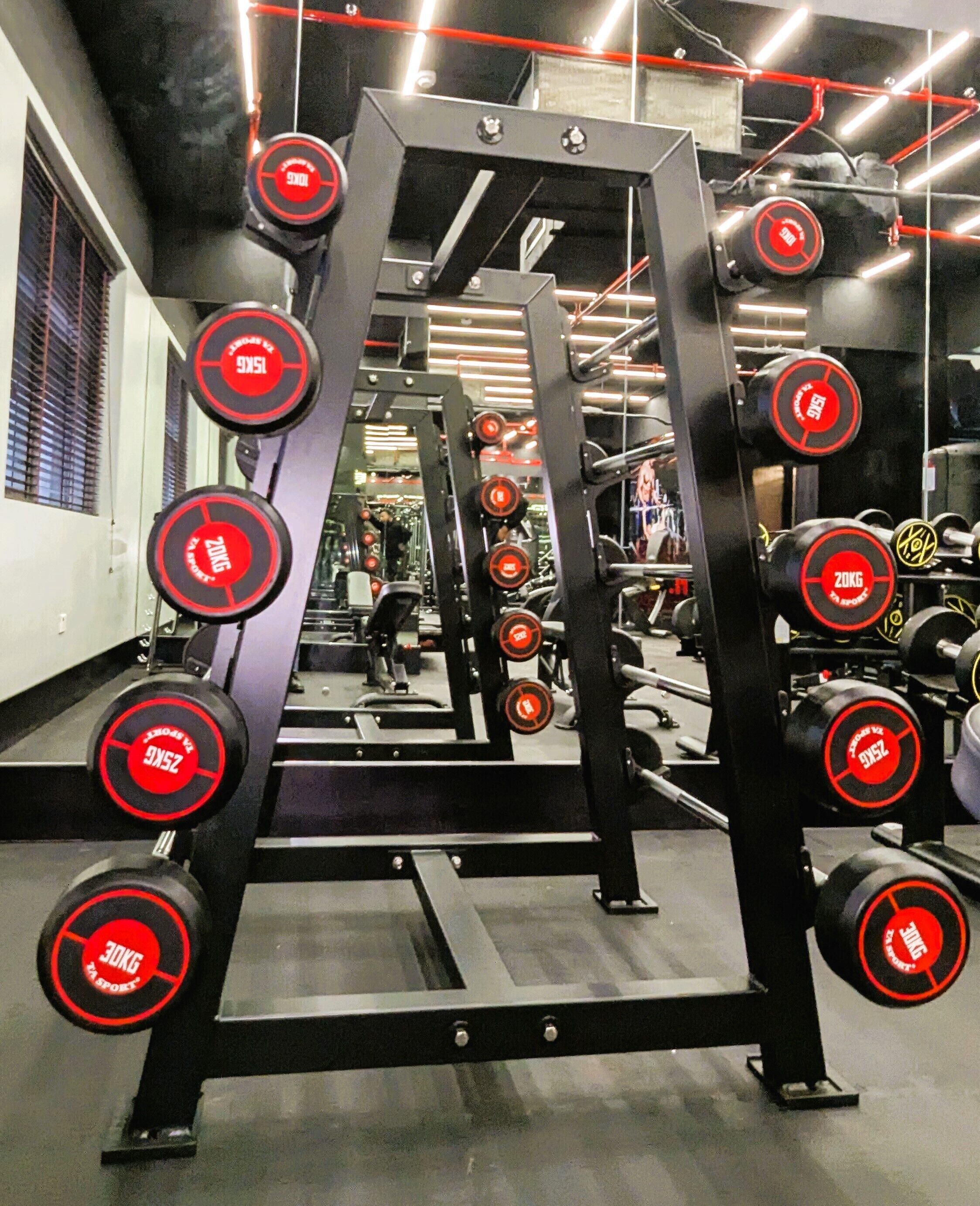 Une salle de sport équipée de matériel de musculation, notamment un support à squats et divers disques de poids.
