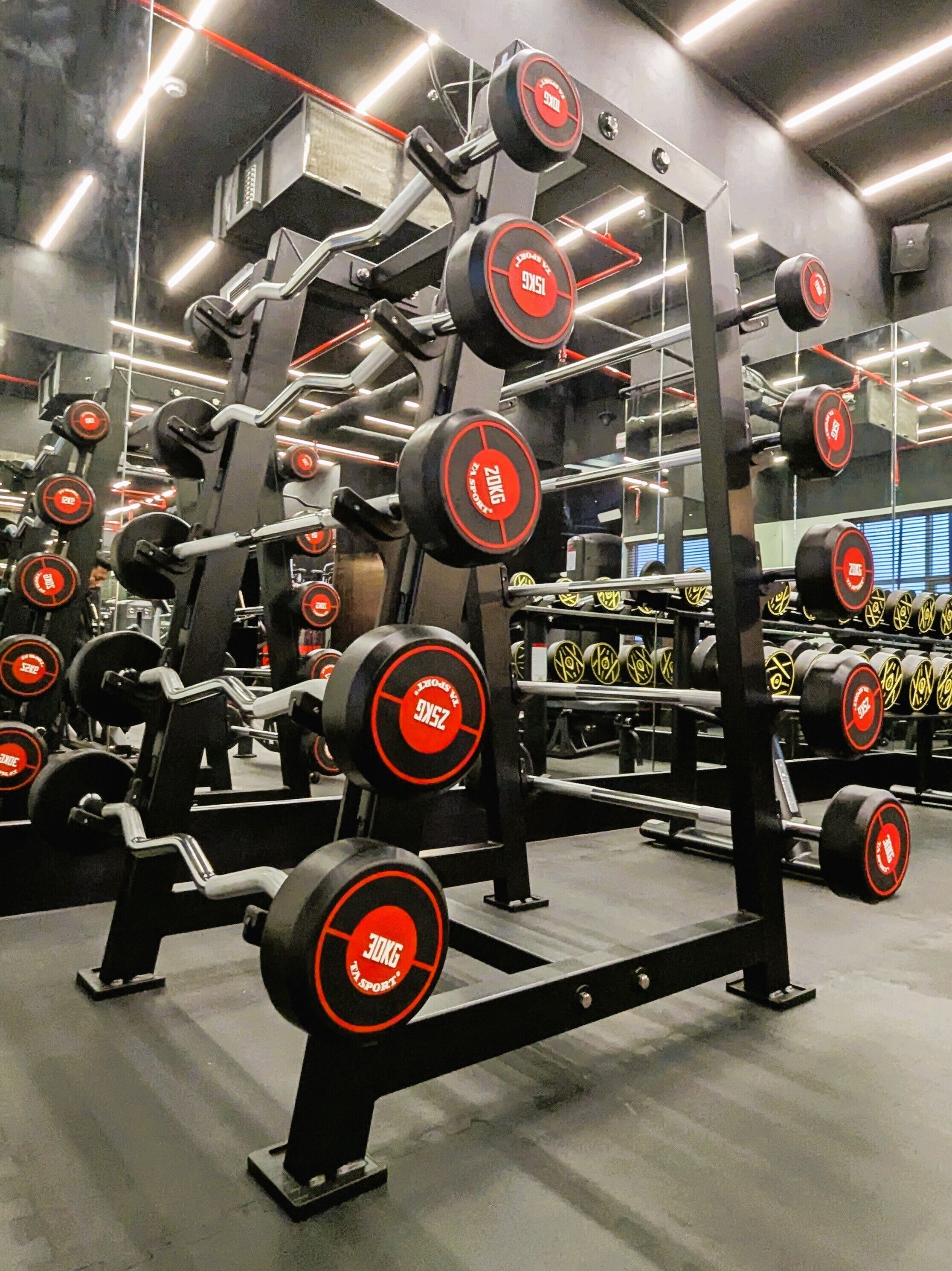 Une salle de sport équipée de divers appareils de musculation, notamment des haltères et des barres.