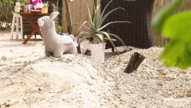 A sandy area with a small potted plant and a wicker chair. - Unsere Casita- Idylle in Ruhe und mit Kleinem Beach (Apensen)